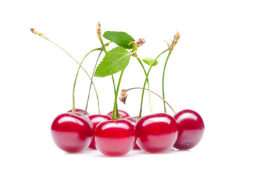 Similar image 448606