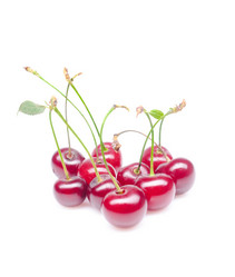 Similar image 448608