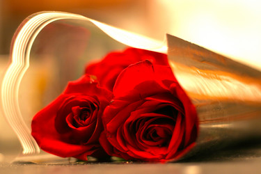 Similar image 448738