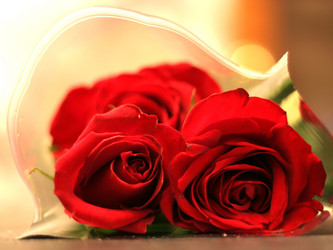 Similar image 448739