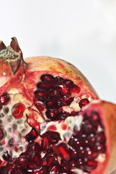 Similar image 448753