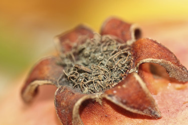 Similar image 448760