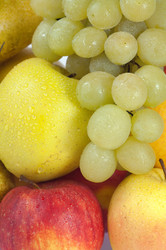 Similar image 448764