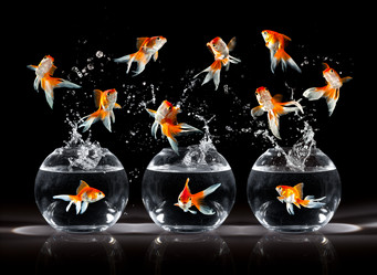 Similar image 448795