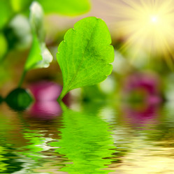 Similar image 448809