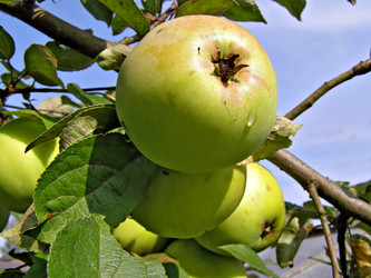 Similar image 448851