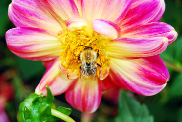 Similar image 448853