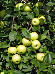 Similar image 448898