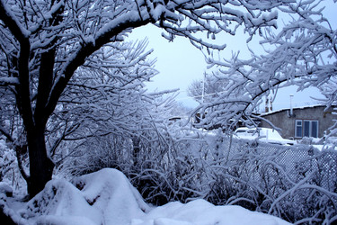 Similar image 448915