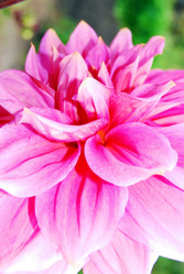 Similar image 448919