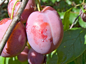 Similar image 448939