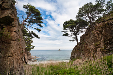 Similar image 448974