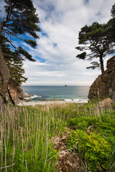 Similar image 448980