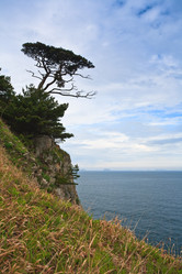 Similar image 449014