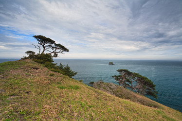 Similar image 449017