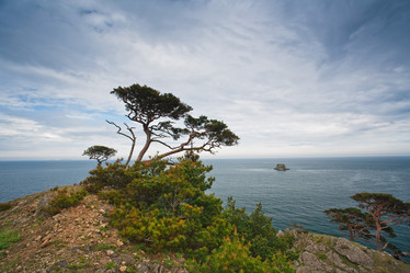 Similar image 449078