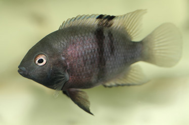 Similar image 449106