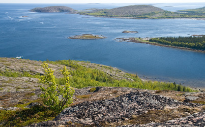 Similar image 449128