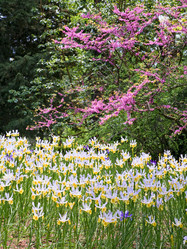 Similar image 449137