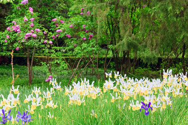 Similar image 449146