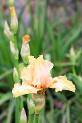 Similar image 449150