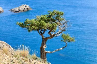 Similar image 449174