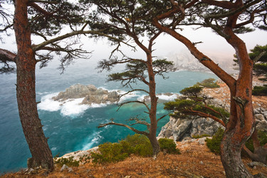 Similar image 449198