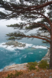 Similar image 449199