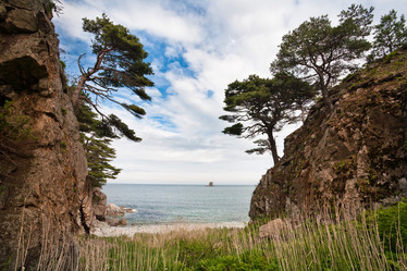 Similar image 449202