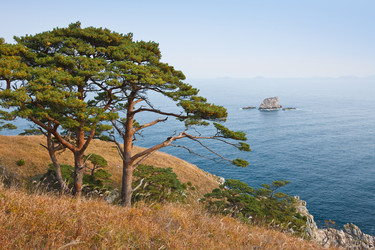 Similar image 449212