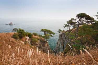 Similar image 449214