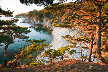 Similar image 449216