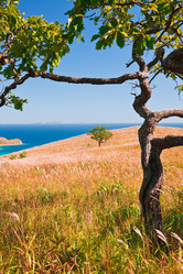 Similar image 449218