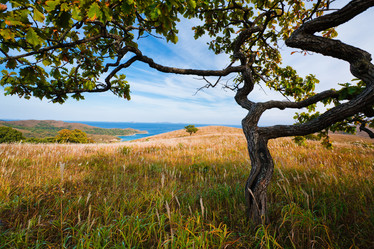 Similar image 449225