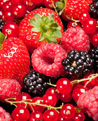 Similar image 449363