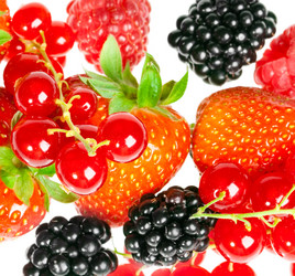 Similar image 449403