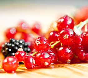 Similar image 449410