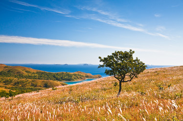 Similar image 449440