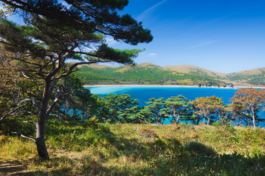 Similar image 449446