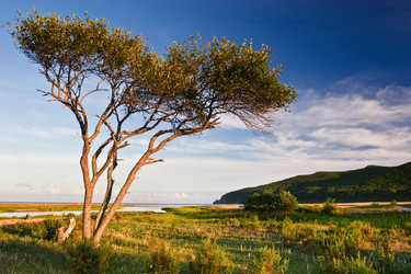 Similar image 449460