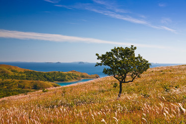 Similar image 449465