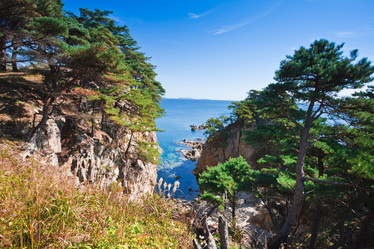 Similar image 449477