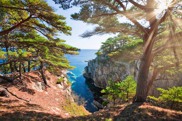 Similar image 449478