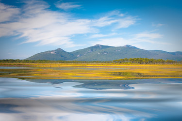 Similar image 449495