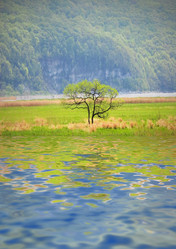 Similar image 449498