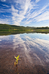 Similar image 449500