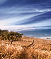 Similar image 449502