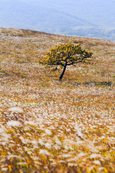 Similar image 449525