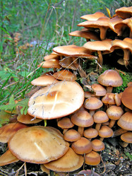 Similar image 449544