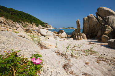 Similar image 449622